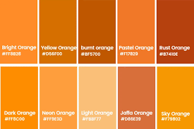 25 best colors that go with orange