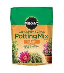 Specially formulated iron and bone meal soil to supplement strong roots in your cacti and succulents for up to 3 months. Miracle Gro Cactus Palm Citrus Potting Mix 8 Qt Wilco Farm Stores