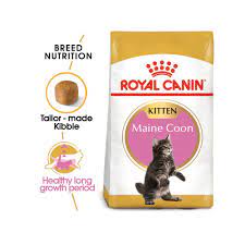 royal canin maine kitten 4kg dry