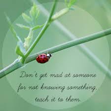 Quotes Quote Teach Teaching Ladybug Photography Learn