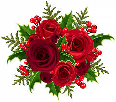 christmas flower png hd total png
