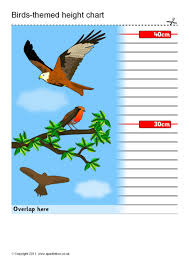 Birds Themed Childrens Height Chart Sb5039 Sparklebox