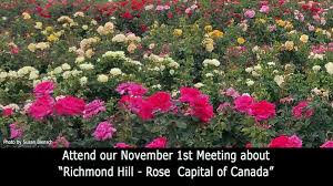 Richmond Hill Rose Capital Of Canada
