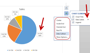 Office Display Data Labels In A Pie Chart