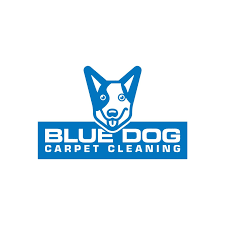 tulsa professional carpet cleaning