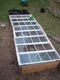 Mini Greenhouse Greenhouse Gardening