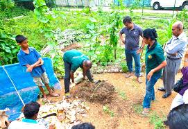 Urban Garden For All Colombo