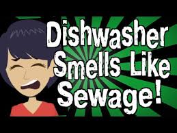 my dishwasher smell like sewage