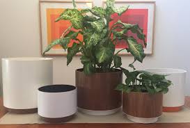 Small danish modern mid century brazilian rosewood planter box. Everything That You Need To Know About Mid Century Planters Eternity Modern