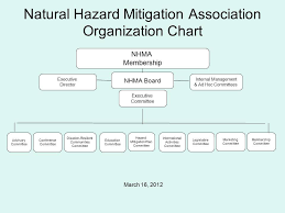 Organization Chart Nhma