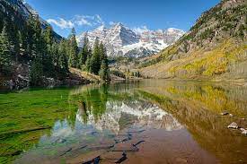 15 awe inspiring national forests in