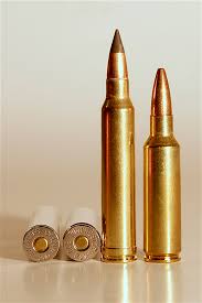 300 Winchester Magnum Or The 300 Winchester Short Magnum