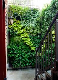 Vertical Garden