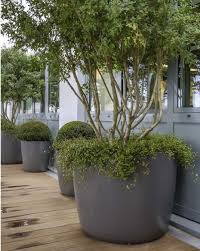 Planter Manufacturers Suppliers