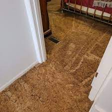 x treme carpet cleaning springfield