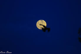 lunar eclipse of sorts jupiter and