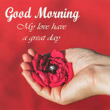 Good morning to my love. Good Morning My Love Wishes With Flower Pics Good Morning Images Quotes Wishes Messages Greetings