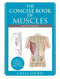 The Concise Book Of Muscles Fourth Edition Paperback