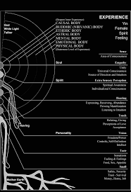 Martin Brofman Chakra Reference Chart Showing The Body