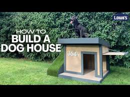 How To Build A Dog House You