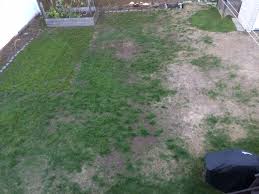 A core aerator is a great tool to prepare the yard for seeding quickly. How To Prepare Lawn For Overseeding Gardening Landscaping Stack Exchange