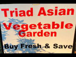 Triad Asian Garden 2020