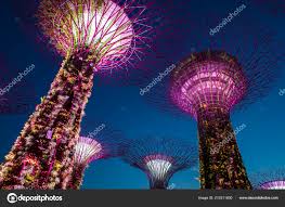 Singapore Feb Supertrees Gardens Bay Singapore Februery 2018