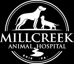 Care animal hospital, brandon, fl. Millcreek Animal Hospital Veterinarian In Erie Pa Usa Home