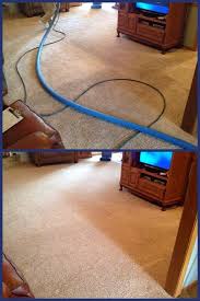 rapp cleaning restoration reviews