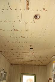 how to remove a drop ceiling drop it