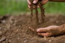 benefits of ing garden soil in bulk