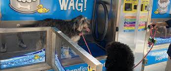 dog park and sandy s wash n wag dog wash