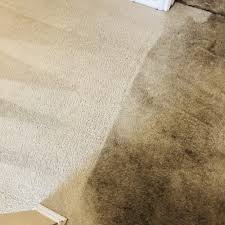 rug cleaning near beacon ny 12508