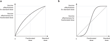 fractionation of covid 19 vaccine doses