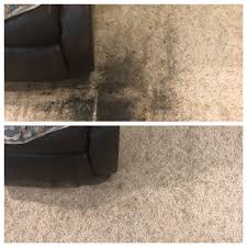 carpet cleaning in lacey wa