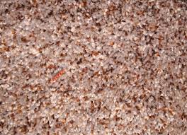 shaw carpet clear touch stain