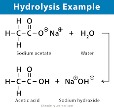 Hydrolysis Reaction Definition