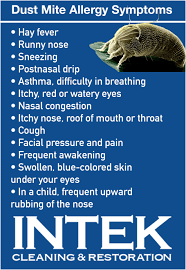 dust mite allergy symptoms intek