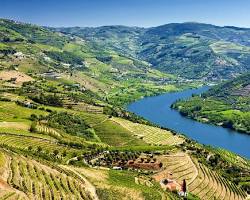 Douro Valley landscape, Portugal