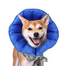 Aifusi Dog Collar Inflatable Dog Cone Elizabethan E Collar Pet Recovery Soft Protective For Dogs And Cats