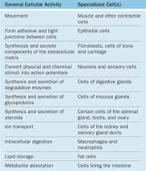 the cytoplasm basiccal key