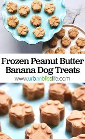 frozen peanut er banana dog treats