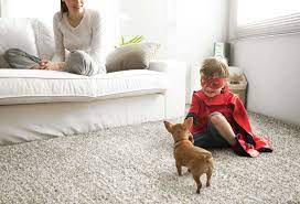 quick dry carpet cleaning bloomington