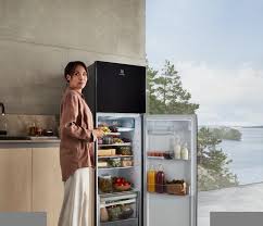 refrigerator sizes guide to fridge