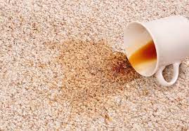 how to clean coffee out of carpet 3