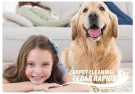 licensed carpet cleaners ely ia 319