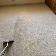 prestige floor and carpet care 72