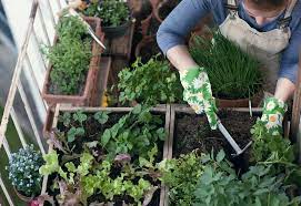Create Herb Garden On The Balcony How