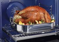 engineering the perfect turkey