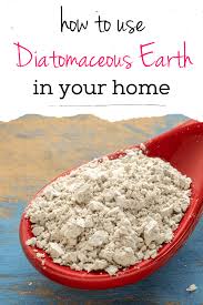 13 smart ways to use diatomaceous earth